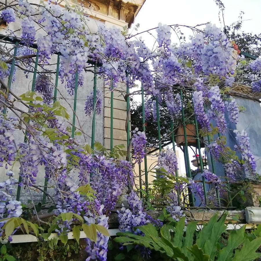 Villa Manasse Aci Castello Esterno foto
